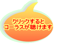 NbN R[X܂